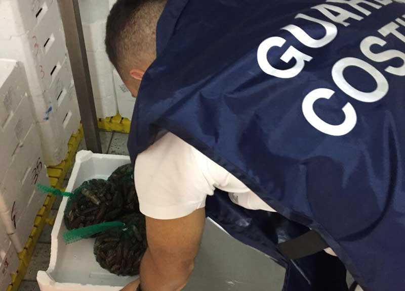 Ostia, un ristorante vende pesce scaduto: sequestri per commercio illegale Ostia, un ristorante vende pesce scaduto: sequestri per commercio illegale