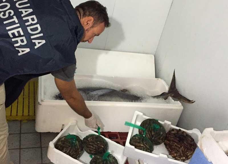 Ostia, un ristorante vende pesce scaduto: sequestri per commercio illegale Ostia, un ristorante vende pesce scaduto: sequestri per commercio illegale
