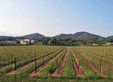 Calici di Stelle : bollicine, musica e buon cibo tra le vie di Asolo