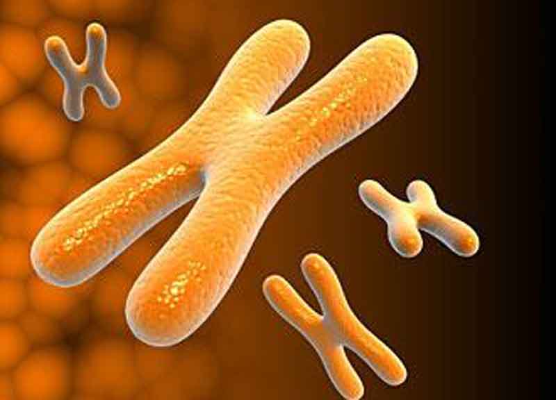 Sindrome di Lowe: Telethon fa luce sulla rara malattia genetica Sindrome di Lowe: Telethon fa luce sulla rara malattia genetica