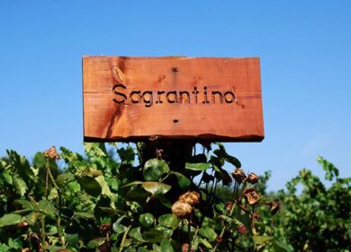 Calici di Stelle : Montefalco un viaggio che parte dai vini dell’Umbria