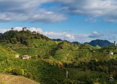 La strada del Prosecco Superiore, prima via del vino, compie 50 anni