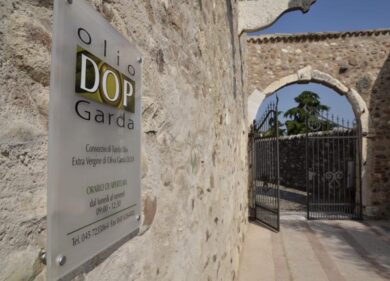 Warda Garda: olio in festa nell’entroterra del Lago di Garda