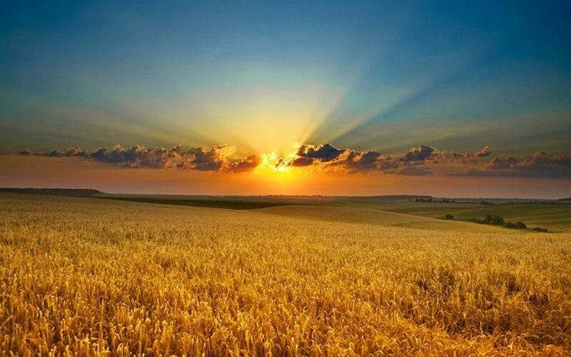 Al via la partnership tra Federazione Italiana Cuochi e Barilla Al via la partnership tra Federazione Italiana Cuochi e Barilla