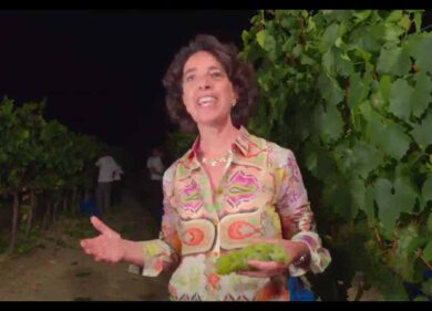 Calici di Stelle a Donnafugata