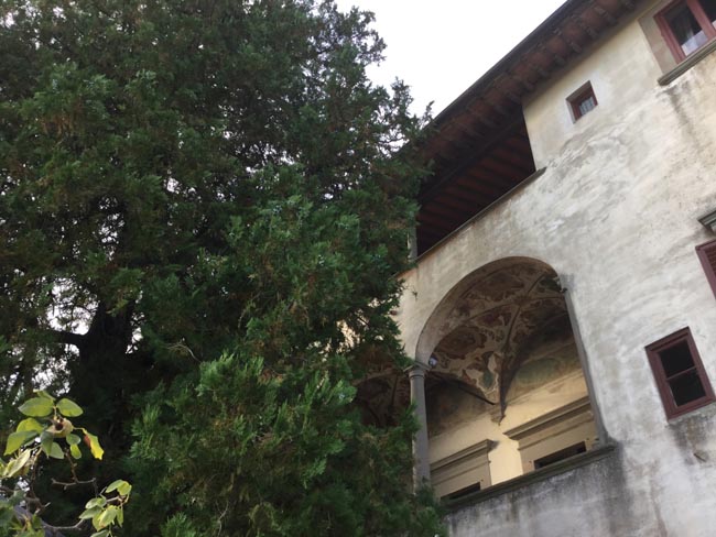 Villa Talente: il Chianti che fa impazzire gli stranieri