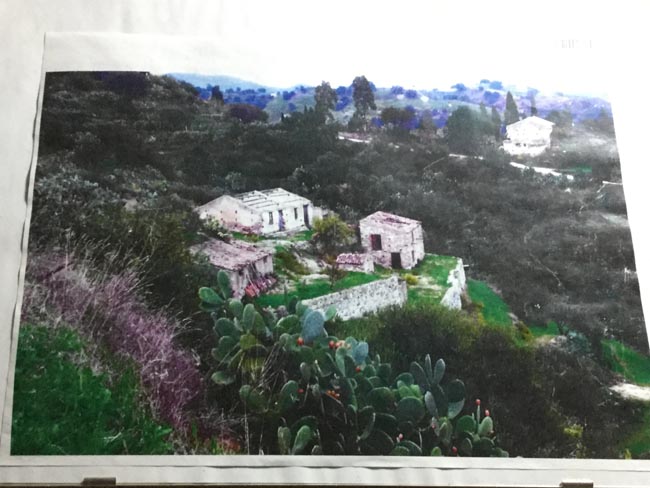 Una terrazza naturale sullo Jonio per gustare la cucina tradizionale Una terrazza naturale sullo Jonio per gustare la cucina tradizionale