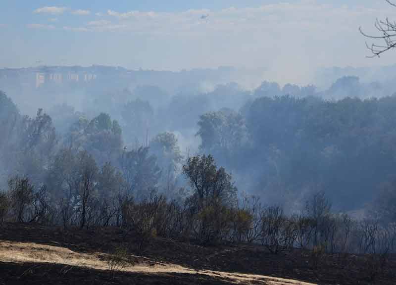 Roma brucia: Parco del Pineto nelle fiamme. Paura anche a Parco Leonardo Roma brucia: Parco del Pineto nelle fiamme. Paura anche a Parco Leonardo