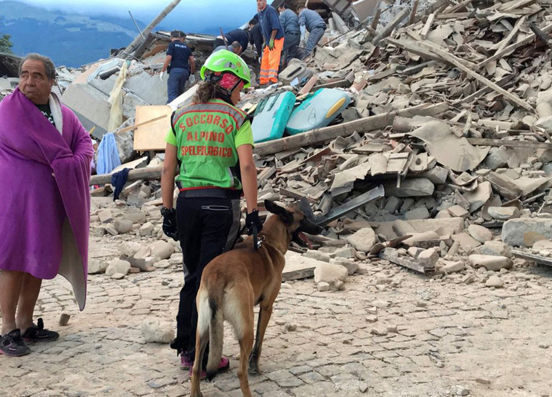 Terremoto, labrador e pastori. La speranza di vita è affidata al loro fiuto Terremoto, labrador e pastori. La speranza di vita è affidata al loro fiuto