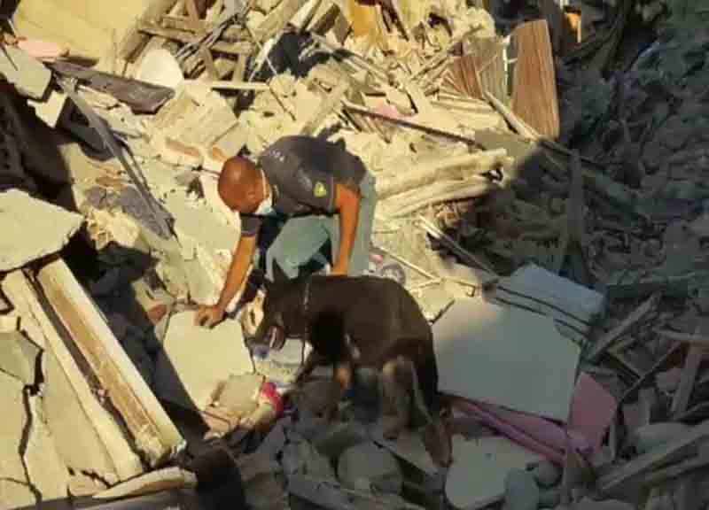 Terremoto, parla l’operatore cinofilo che ha salvato la piccola Giulia Terremoto, parla l’operatore cinofilo che ha salvato la piccola Giulia