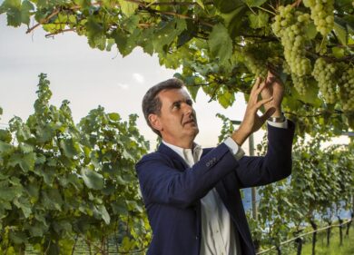 Le Cantine Ferrari danno il via alla vendemmia 2016