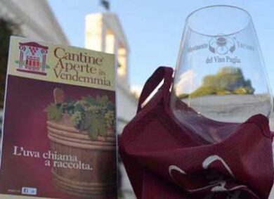 Cantine Aperte in Vendemmia: Settembre 2016 con Movimento Turismo Vino