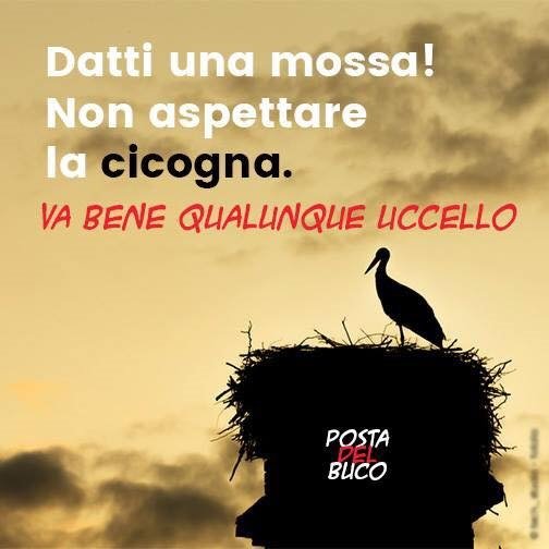 #fertilityday, Saviano guida la rivolta. Ironia sulla Lorenzin: foto-montaggi #fertilityday, Saviano guida la rivolta. Ironia sulla Lorenzin: foto-montaggi