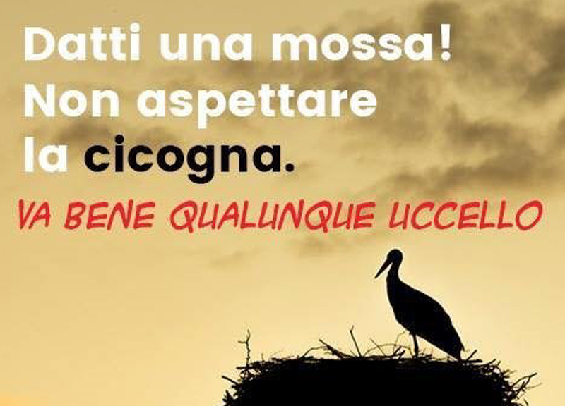 #fertilityday, Saviano guida la rivolta. Ironia sulla Lorenzin: foto-montaggi #fertilityday, Saviano guida la rivolta. Ironia sulla Lorenzin: foto-montaggi