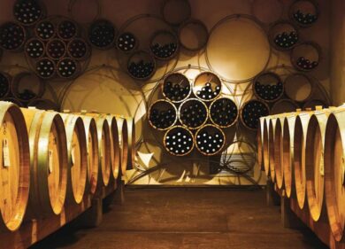 Vendemmia Bio alla cantina Roccafiore di Todi