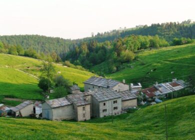 Asiago e Monte Veronese valorizzano la produzione di formaggio d’alpeggio