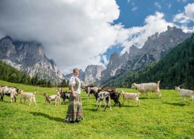 Montagna e allevamento: nelle malghe regnano le donne