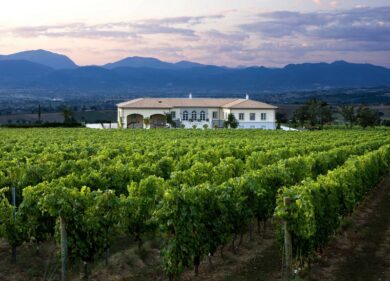 Lungarotti sceglie l’abbinamento inedito tra Sagrantino ed erbe campagnole
