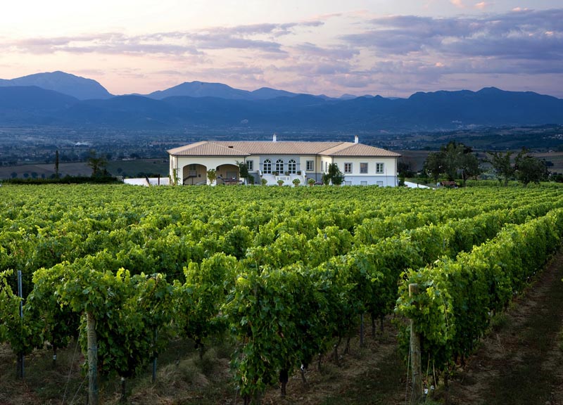 Lungarotti sceglie l’abbinamento inedito tra Sagrantino ed erbe campagnole Lungarotti sceglie l’abbinamento inedito tra Sagrantino ed erbe campagnole