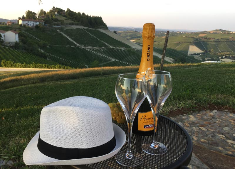 Cinzano Experience: il gusto della vendemmia Cinzano Experience: il gusto della vendemmia