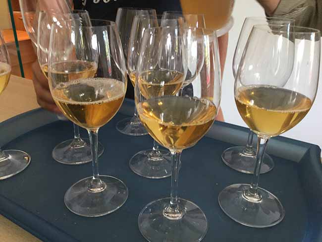 Cinzano Experience: il gusto della vendemmia Cinzano Experience: il gusto della vendemmia