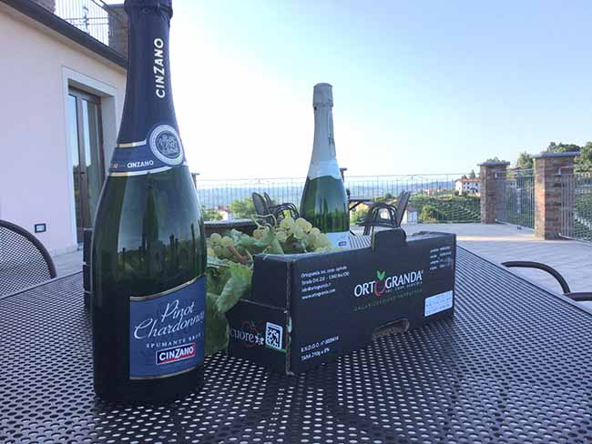Cinzano Experience: il gusto della vendemmia Cinzano Experience: il gusto della vendemmia