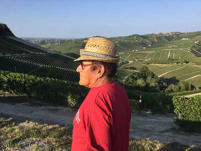 Cinzano Experience: il gusto della vendemmia Cinzano Experience: il gusto della vendemmia