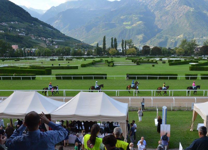 Wine&Horses: le eno-eccellenze di Köcher al Gran Premio Merano Adige