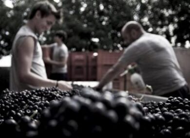 Cantina Quadra: dove il Festival di Franciacorta è green
