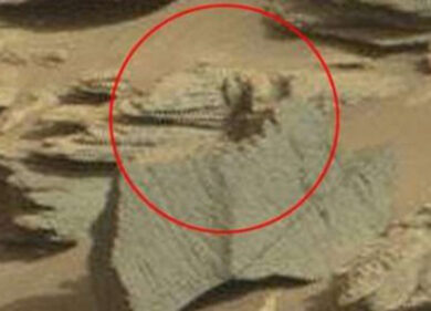 Incontri ravvicinati con ufo e alieni. Vita su Marte? Le immagini sconcertanti