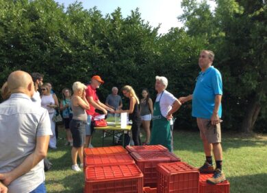 Movimento turismo del vino: fino al 30 ottobre cantine aperte in vendemmia