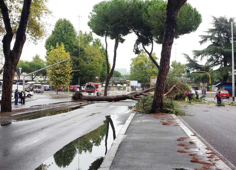 Maltempo Roma, banchina Metro B bagnata e scivola: in fin di vita 15 enne Maltempo Roma, banchina Metro B bagnata e scivola: in fin di vita 15 enne