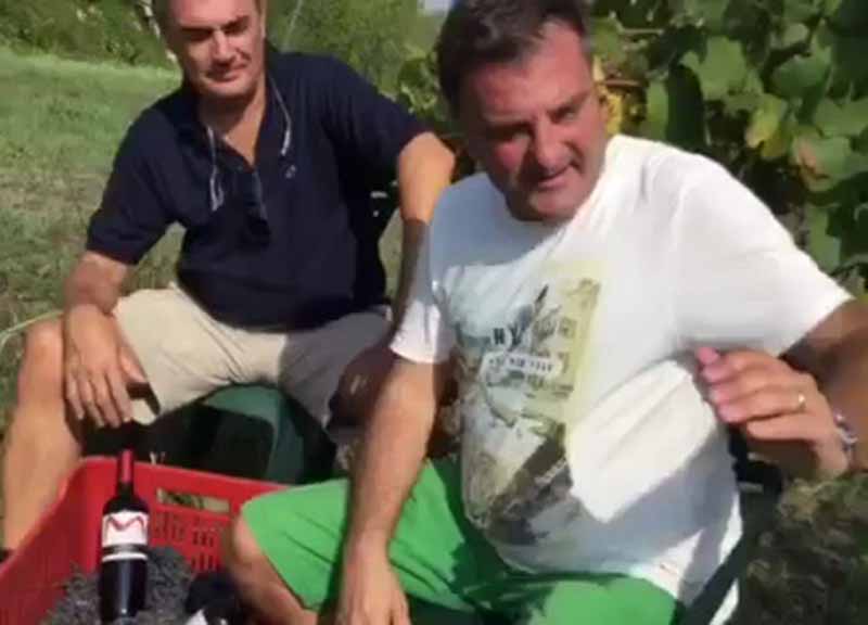 Movimento turismo del vino: fino al 30 ottobre cantine aperte in vendemmia