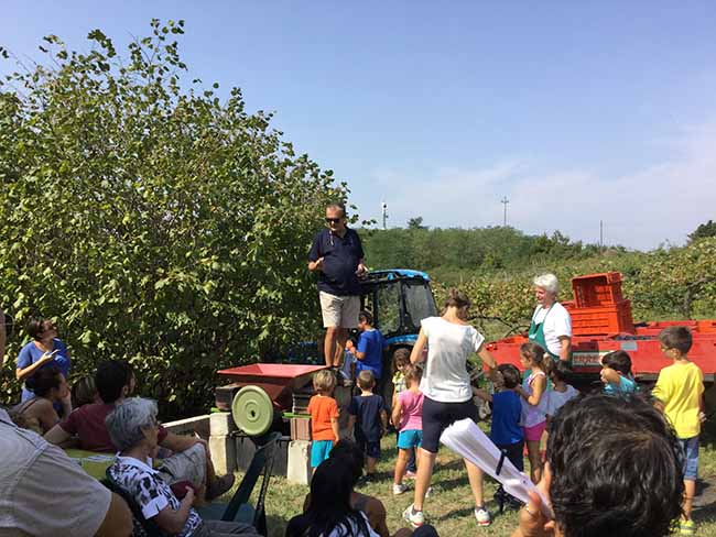 Movimento turismo del vino: fino al 30 ottobre cantine aperte in vendemmia
