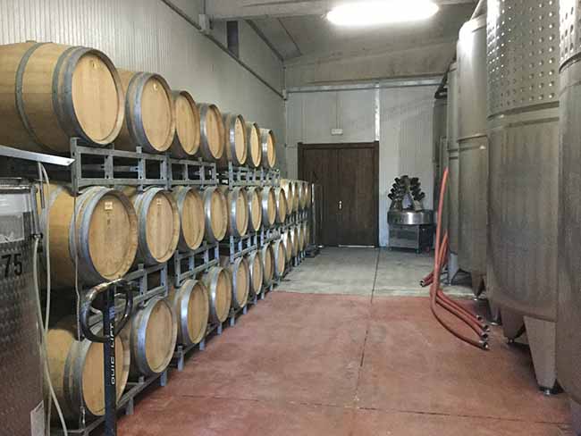 Movimento turismo del vino: fino al 30 ottobre cantine aperte in vendemmia