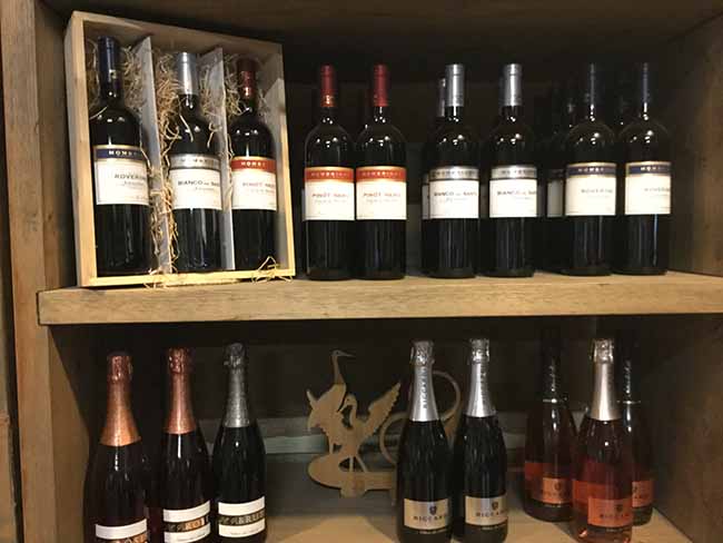 Movimento turismo del vino: fino al 30 ottobre cantine aperte in vendemmia