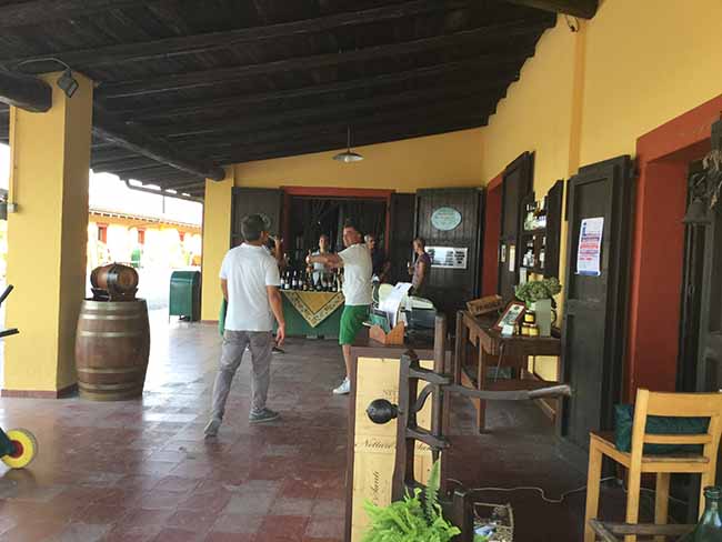 Movimento turismo del vino: fino al 30 ottobre cantine aperte in vendemmia
