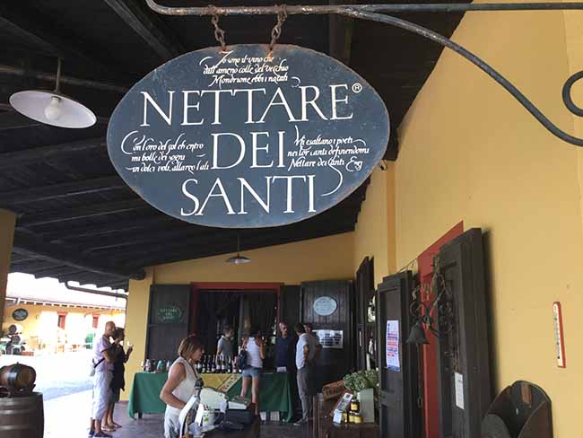 Movimento turismo del vino: fino al 30 ottobre cantine aperte in vendemmia