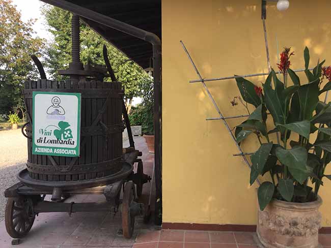 Movimento turismo del vino: fino al 30 ottobre cantine aperte in vendemmia