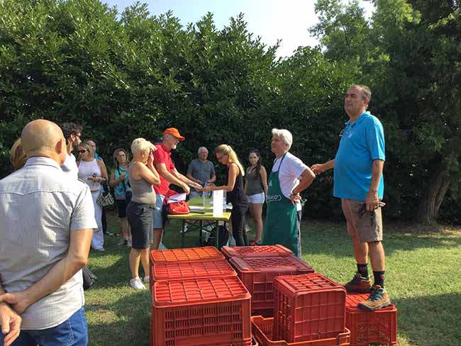 Movimento turismo del vino: fino al 30 ottobre cantine aperte in vendemmia