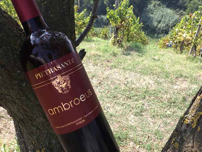 Movimento turismo del vino: fino al 30 ottobre cantine aperte in vendemmia