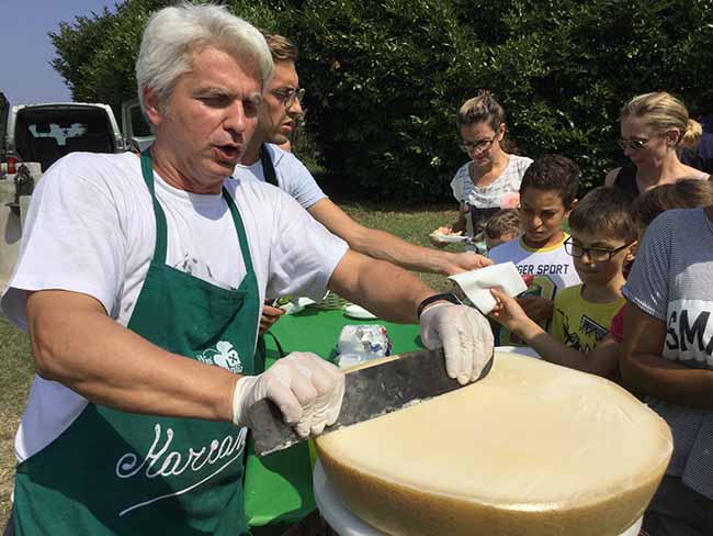 Movimento turismo del vino: fino al 30 ottobre cantine aperte in vendemmia