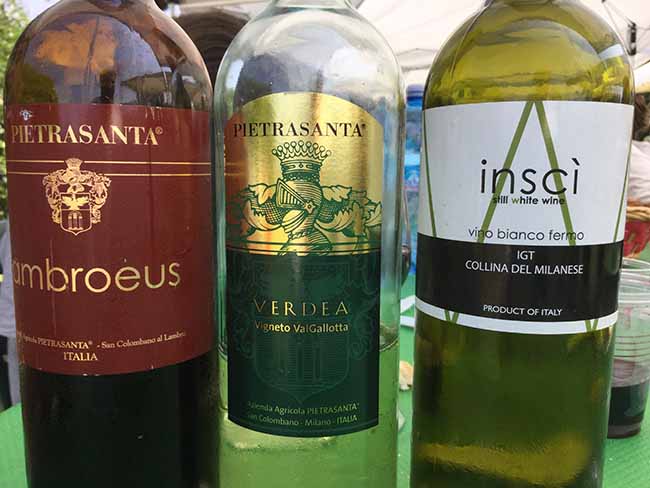 Movimento turismo del vino: fino al 30 ottobre cantine aperte in vendemmia