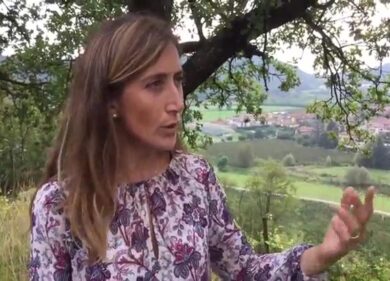 Nelle vigne Castelveder in Franciacorta
