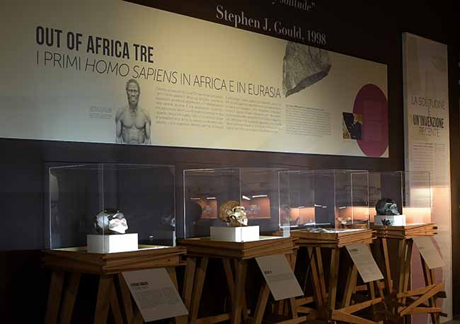 Mostre: al Mudec autunno ricco, da Homo Sapiens a Salone Ducale Mostre: al Mudec autunno ricco, da Homo Sapiens a Salone Ducale