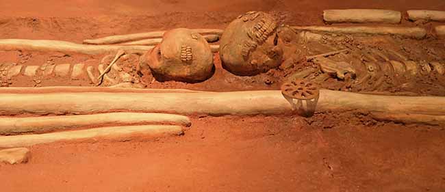 Mostre: al Mudec autunno ricco, da Homo Sapiens a Salone Ducale Mostre: al Mudec autunno ricco, da Homo Sapiens a Salone Ducale