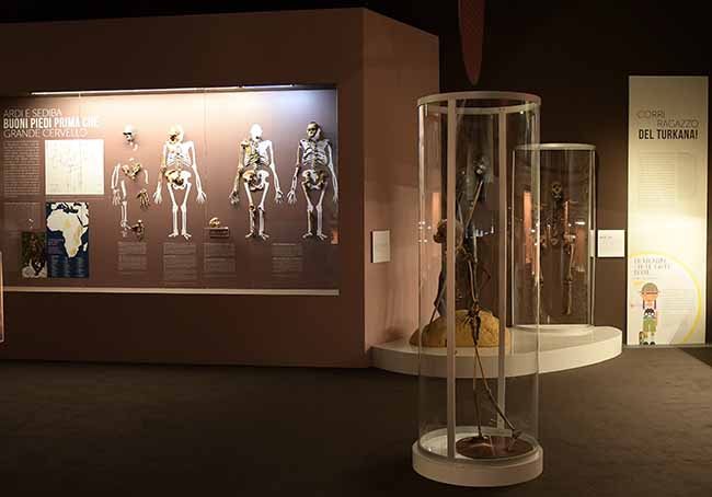 Mostre: al Mudec autunno ricco, da Homo Sapiens a Salone Ducale Mostre: al Mudec autunno ricco, da Homo Sapiens a Salone Ducale