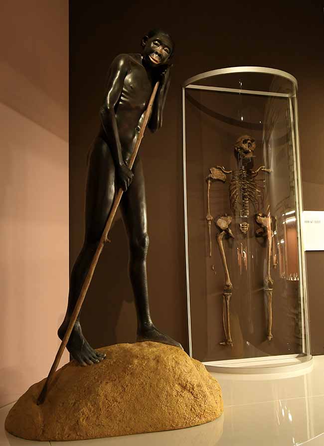 Mostre: al Mudec autunno ricco, da Homo Sapiens a Salone Ducale Mostre: al Mudec autunno ricco, da Homo Sapiens a Salone Ducale