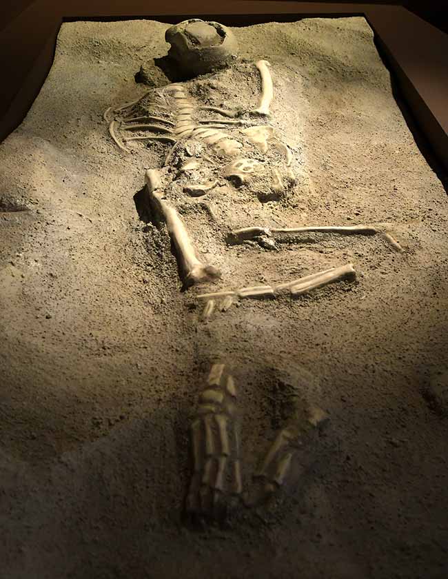 Mostre: al Mudec autunno ricco, da Homo Sapiens a Salone Ducale Mostre: al Mudec autunno ricco, da Homo Sapiens a Salone Ducale