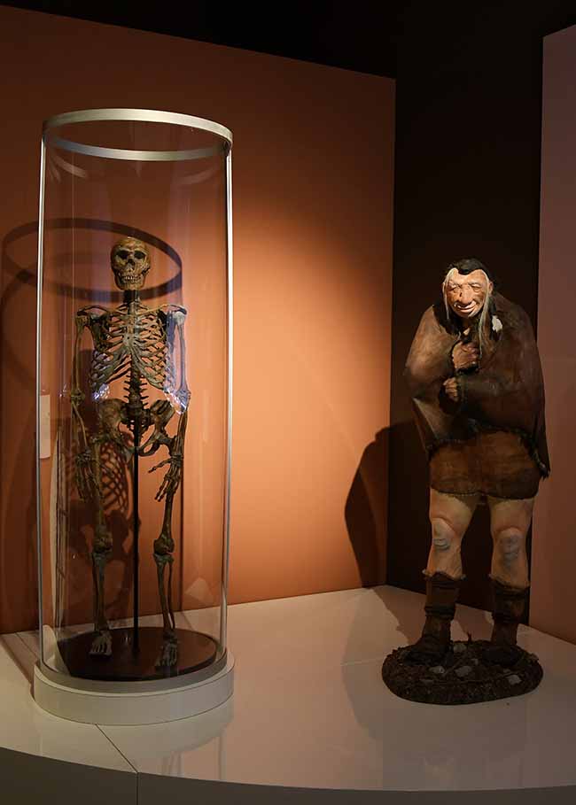 Mostre: al Mudec autunno ricco, da Homo Sapiens a Salone Ducale Mostre: al Mudec autunno ricco, da Homo Sapiens a Salone Ducale